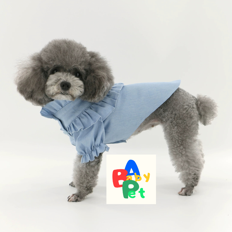 Original Pet-Style Spring/Autumn Thin Cotton Cute Lace Shirt for Teddy Dogs - Birthday Outfit