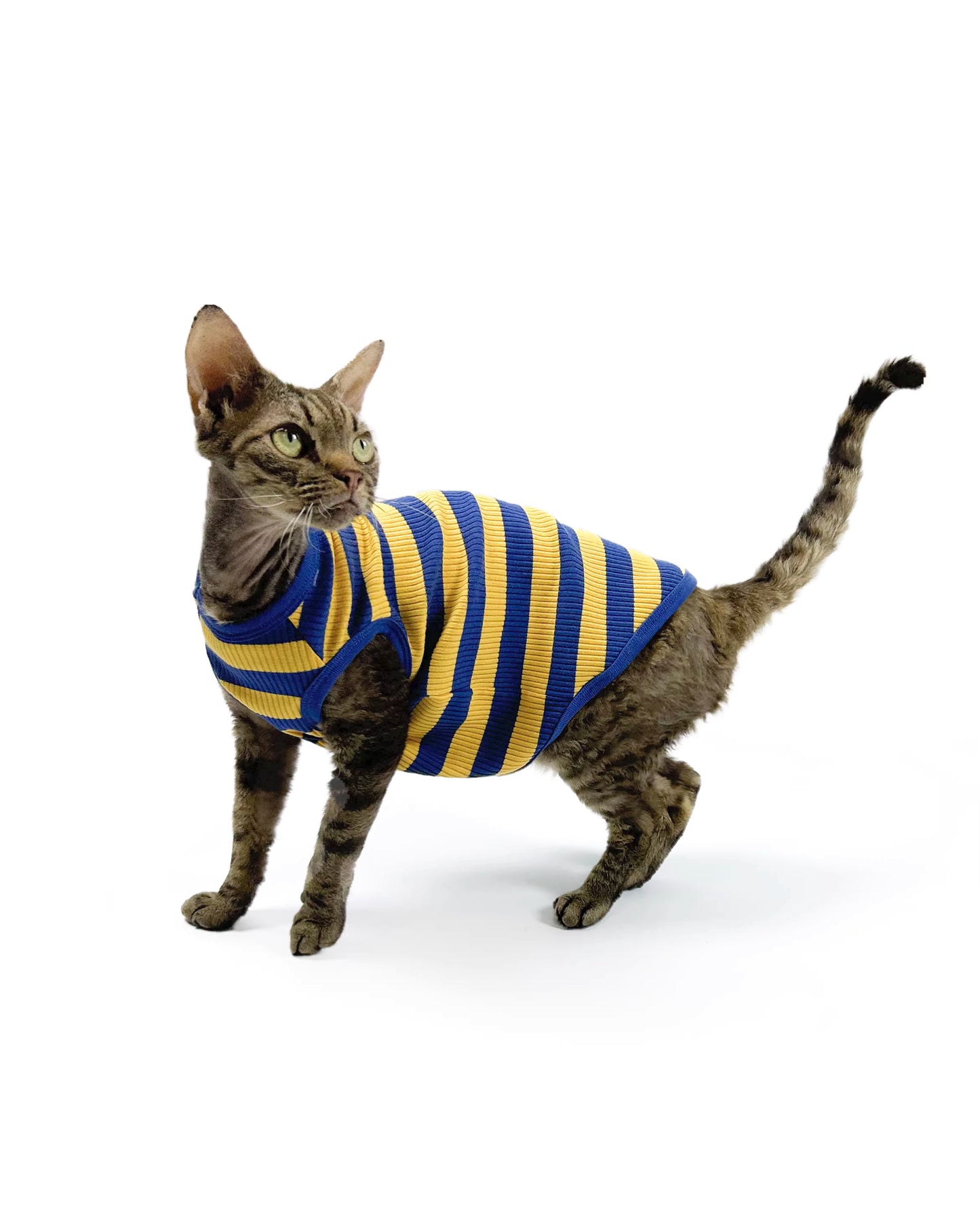 Hairless Cat Clothing: Sphynx & Devon Rex—High-Stretch, Pure Cotton, Comfortable, Skin-Friendly, and Hypoallergenic Vest