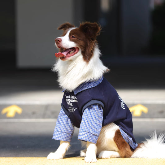 Dog clothes for autumn and winter, fleece-lined and thickened, faux two-piece style, suitable for large breeds such as Golden Retrievers, Labradors, and Border Collies.
