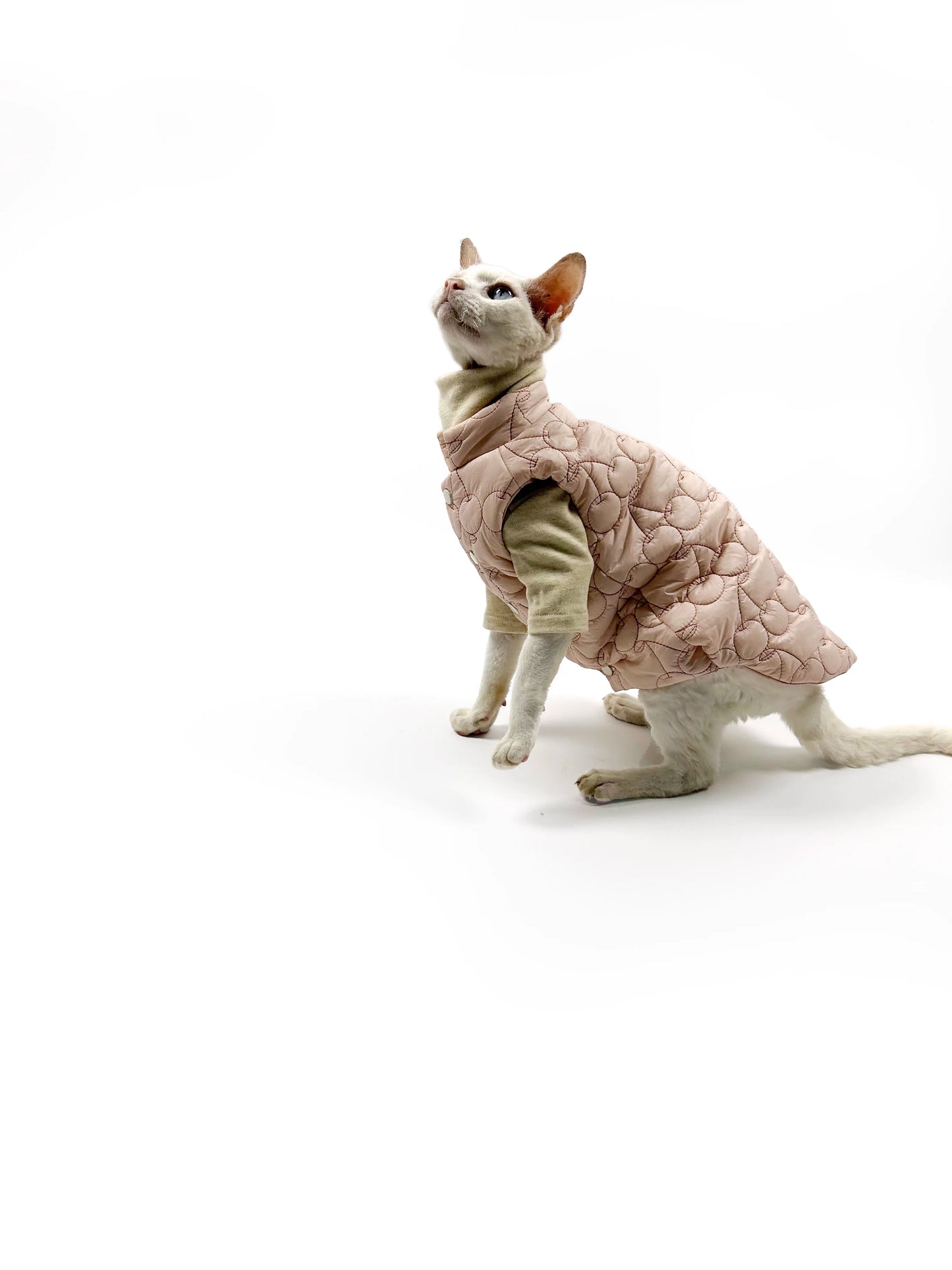 Autumn/Winter Hairless Cat Clothing, Sphinx Devon Winter Thin Fleece-lined Vest, Two-tone Comfortable