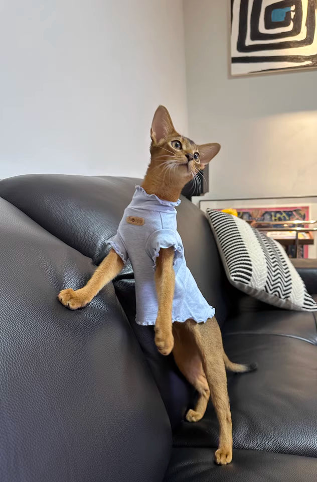 Hairless cat Sphynx Devon clothing breathable vest base layer high elastic pure cotton soft skin-friendly