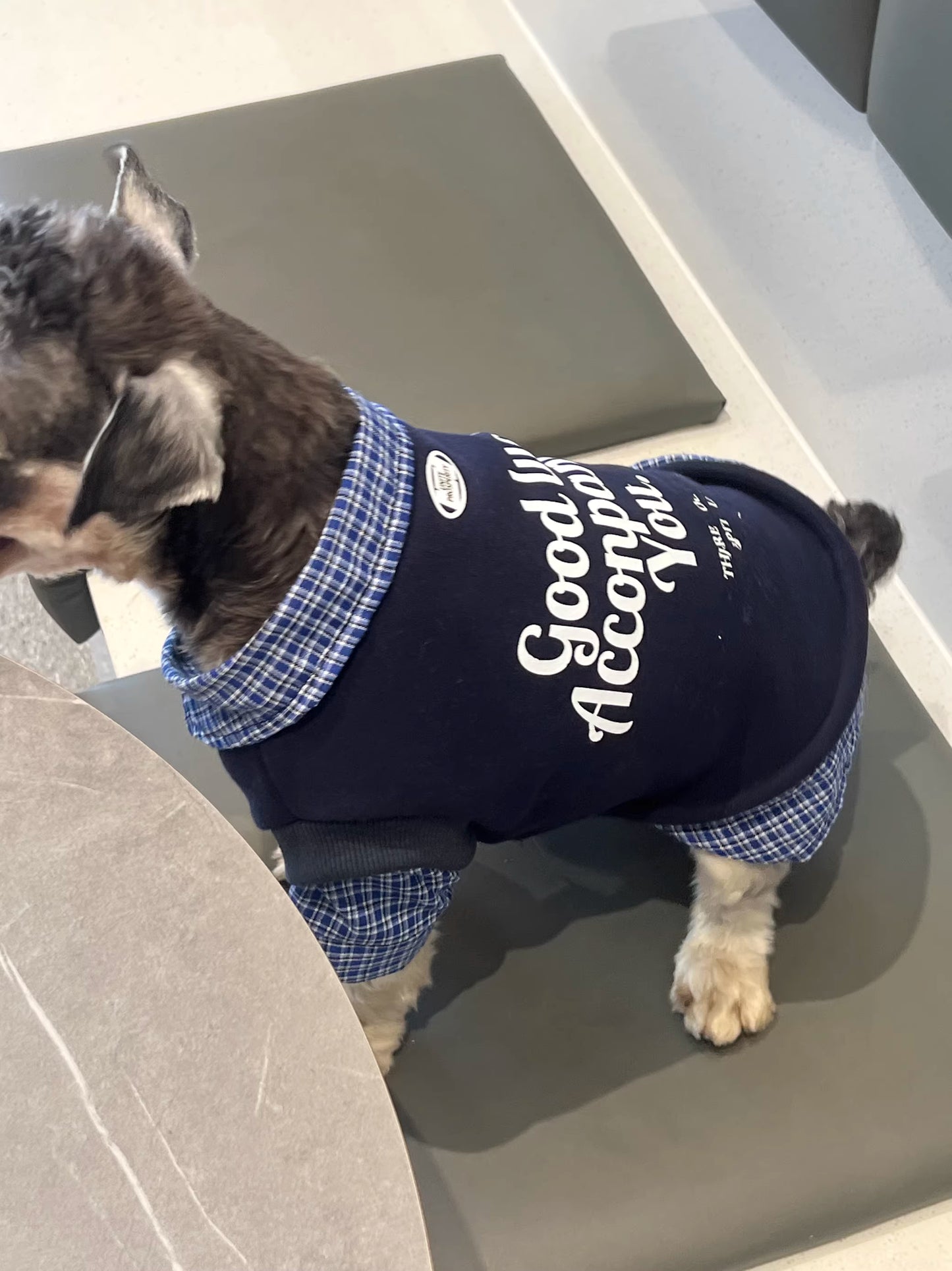 Dog clothes for autumn and winter, fleece-lined and thickened, faux two-piece style, suitable for large breeds such as Golden Retrievers, Labradors, and Border Collies.