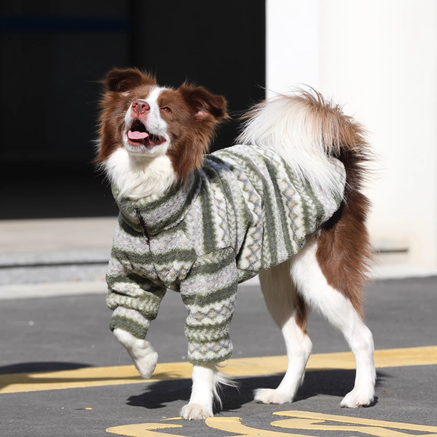 Dog clothes, large breed Border Collie Golden Retriever lamb fleece coat, warm zippered pet winter clothing for autumn and winter.