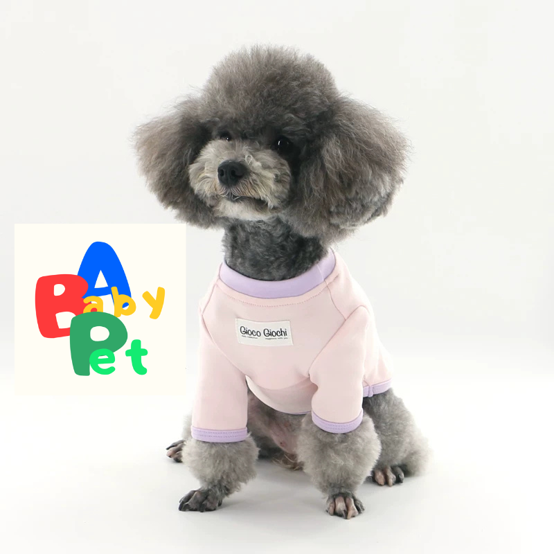 Original Pet-themed Spring/Autumn Color-Blocked Pure Cotton Knit Crew Neck Base Layer Shirt for Teddy Bear and Bichon Frise