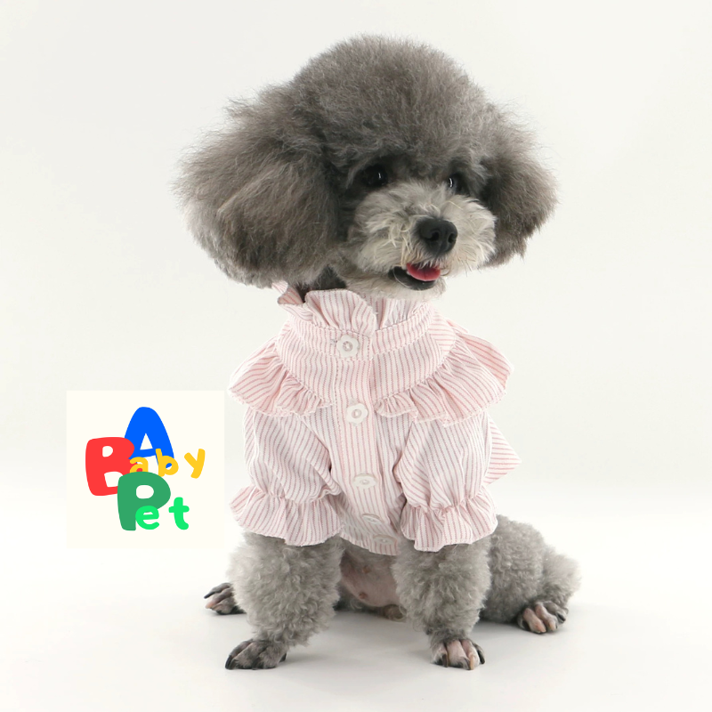 Original Pet-Style Spring/Autumn Thin Cotton Cute Lace Shirt for Teddy Dogs - Birthday Outfit