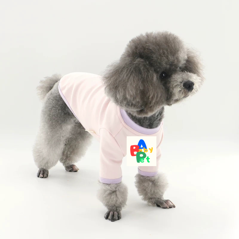 Original Pet-themed Spring/Autumn Color-Blocked Pure Cotton Knit Crew Neck Base Layer Shirt for Teddy Bear and Bichon Frise