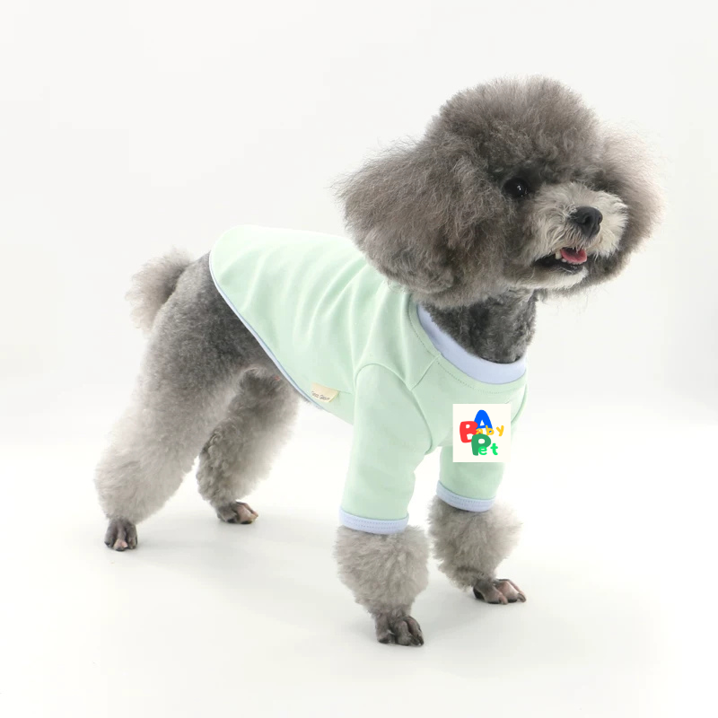 Original Pet-themed Spring/Autumn Color-Blocked Pure Cotton Knit Crew Neck Base Layer Shirt for Teddy Bear and Bichon Frise
