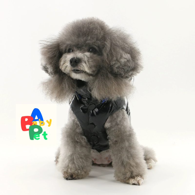 Original Autumn/Winter Black Glossy Waterproof Down Vest for Teddy Dogs with Detachable Hood