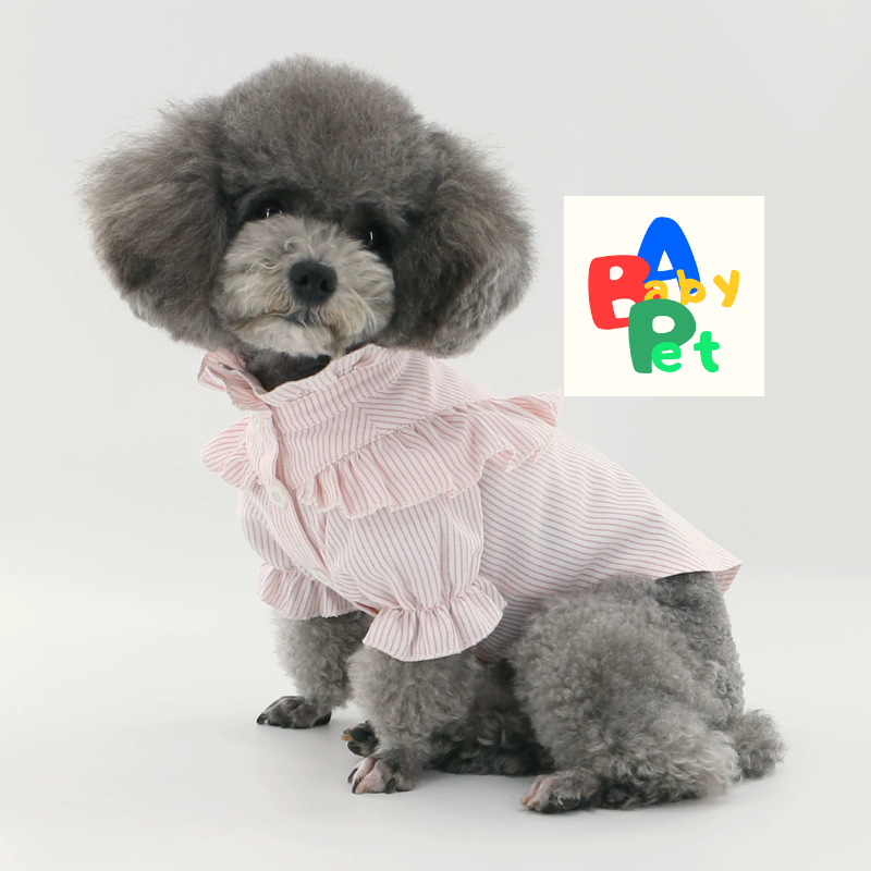 Original Pet-Style Spring/Autumn Thin Cotton Cute Lace Shirt for Teddy Dogs - Birthday Outfit