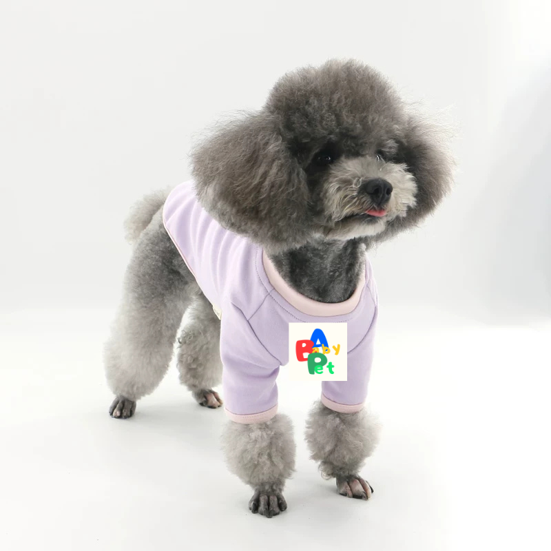 Original Pet-themed Spring/Autumn Color-Blocked Pure Cotton Knit Crew Neck Base Layer Shirt for Teddy Bear and Bichon Frise