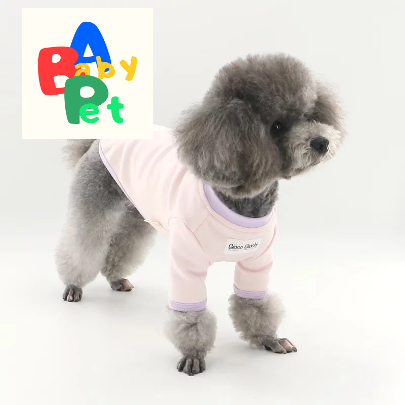 Original Pet-themed Spring/Autumn Color-Blocked Pure Cotton Knit Crew Neck Base Layer Shirt for Teddy Bear and Bichon Frise