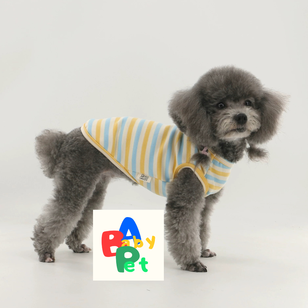 Thick, fleece-lined, colorful striped pure cotton Teddy dog vest for spring and autumn, post-spaying/neutering