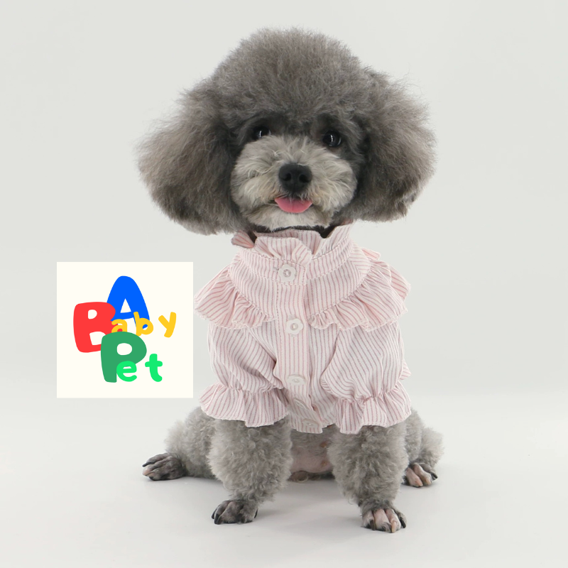 Original Pet-Style Spring/Autumn Thin Cotton Cute Lace Shirt for Teddy Dogs - Birthday Outfit