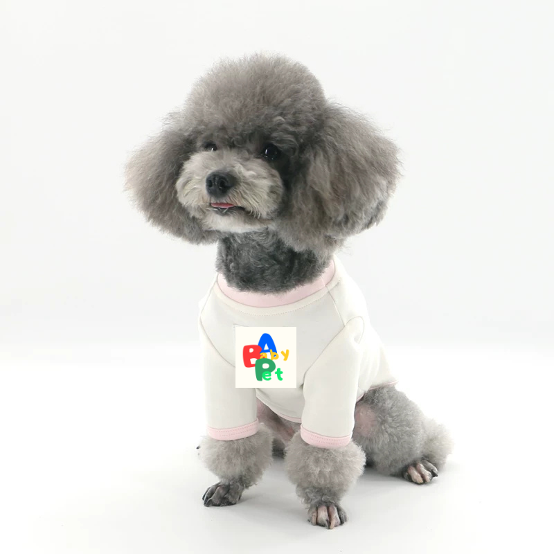Original Pet-themed Spring/Autumn Color-Blocked Pure Cotton Knit Crew Neck Base Layer Shirt for Teddy Bear and Bichon Frise
