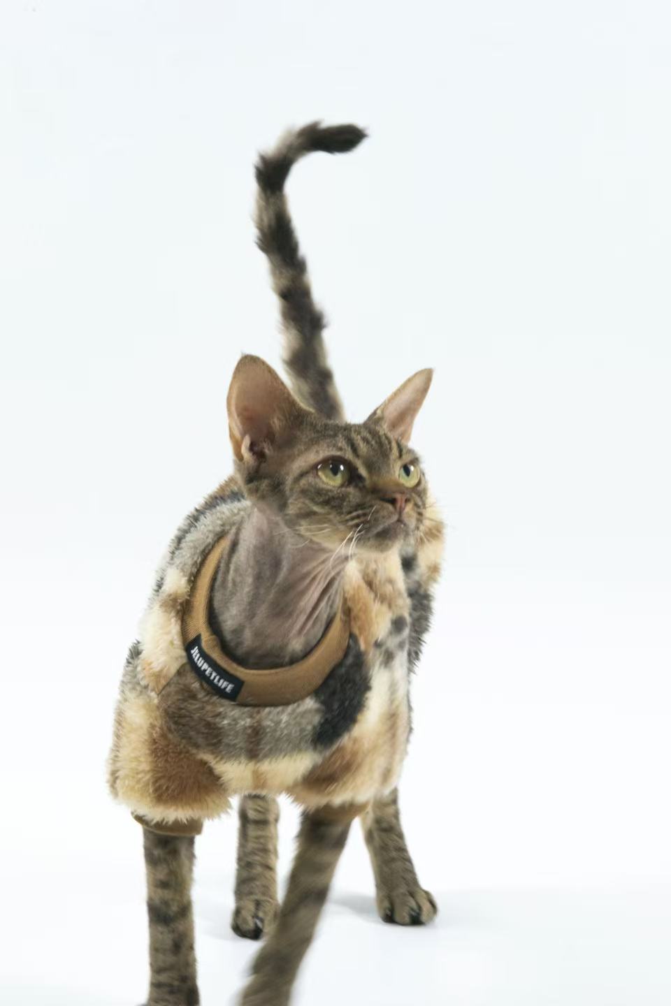 Hairless Cat Clothing: Sphynx & Devon Rex — Reversible, Soft Cotton Fleece for Warmth and Comfort (Winter Edition)