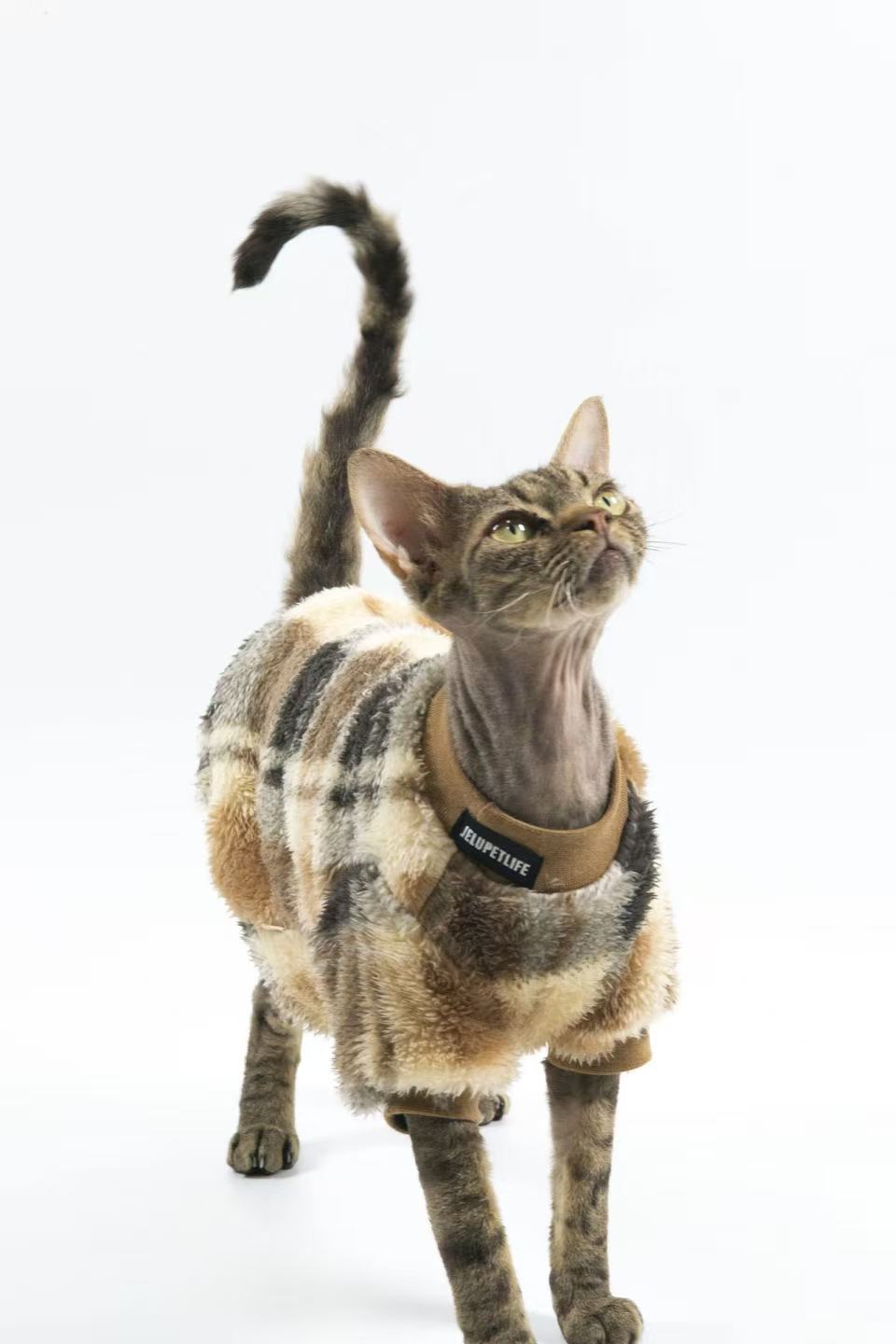 Hairless Cat Clothing: Sphynx & Devon Rex — Reversible, Soft Cotton Fleece for Warmth and Comfort (Winter Edition)