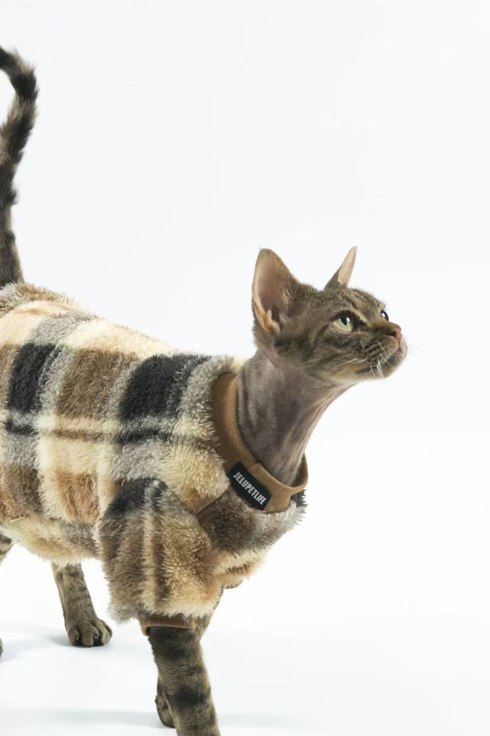 Hairless Cat Clothing: Sphynx & Devon Rex — Reversible, Soft Cotton Fleece for Warmth and Comfort (Winter Edition)