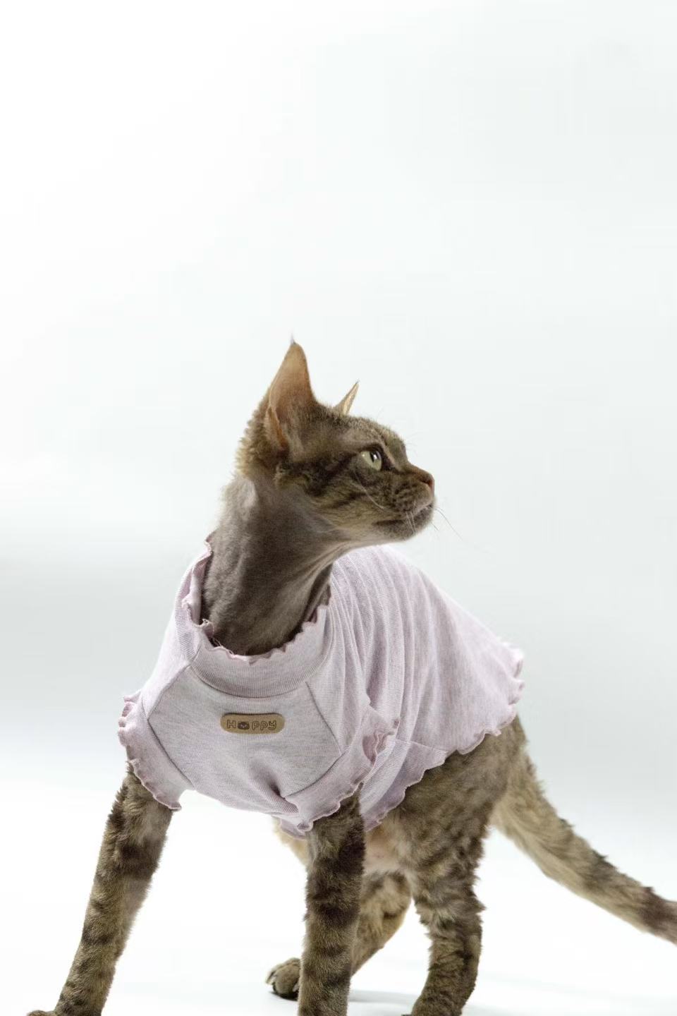 Hairless cat Sphynx Devon clothing breathable vest base layer high elastic pure cotton soft skin-friendly