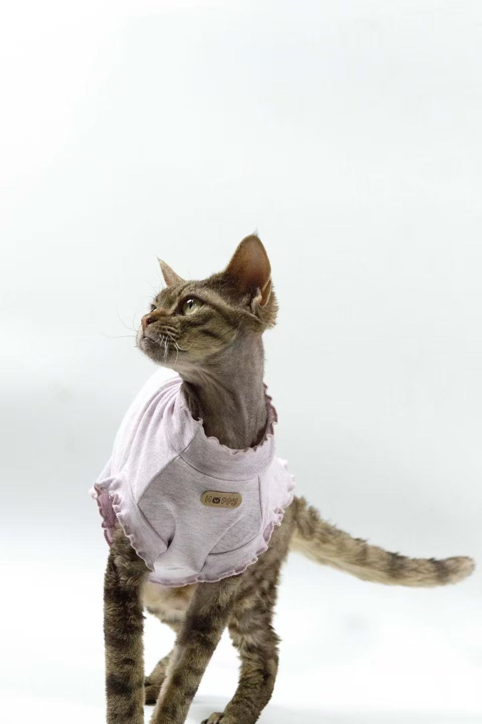 Hairless cat Sphynx Devon clothing breathable vest base layer high elastic pure cotton soft skin-friendly
