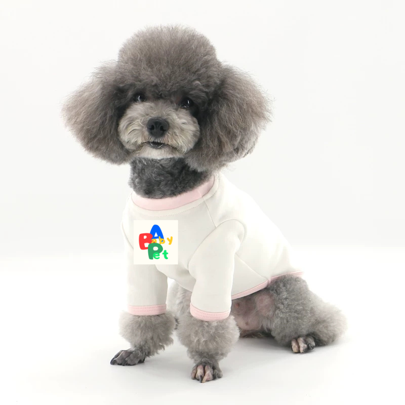 Original Pet-themed Spring/Autumn Color-Blocked Pure Cotton Knit Crew Neck Base Layer Shirt for Teddy Bear and Bichon Frise