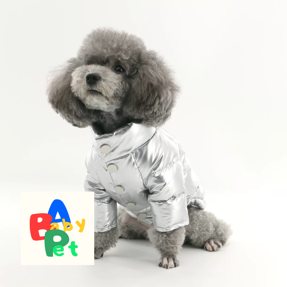 Original Autumn/Winter Thick Warm Space Silver Two-Paw Down Jacket for Dogs