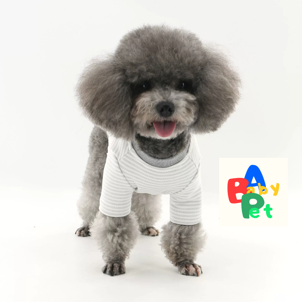 Original Pet Style Spring/Autumn Pure Cotton Striped Crew Neck Teddy Bear T-Shirt (Two-Piece Style)
