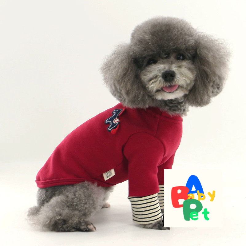 Thick, autumn/winter teddy bear sweater with color-blocked lace trim, perfect for New Year's wear