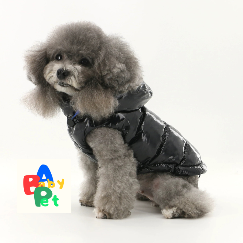 Original Autumn/Winter Black Glossy Waterproof Down Vest for Teddy Dogs with Detachable Hood