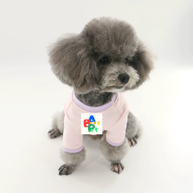 Original Pet-themed Spring/Autumn Color-Blocked Pure Cotton Knit Crew Neck Base Layer Shirt for Teddy Bear and Bichon Frise
