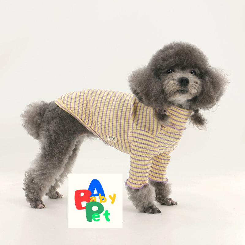 Pet spring/autumn lightweight ribbed striped ruffled collar pure cotton Teddy dog undershirt