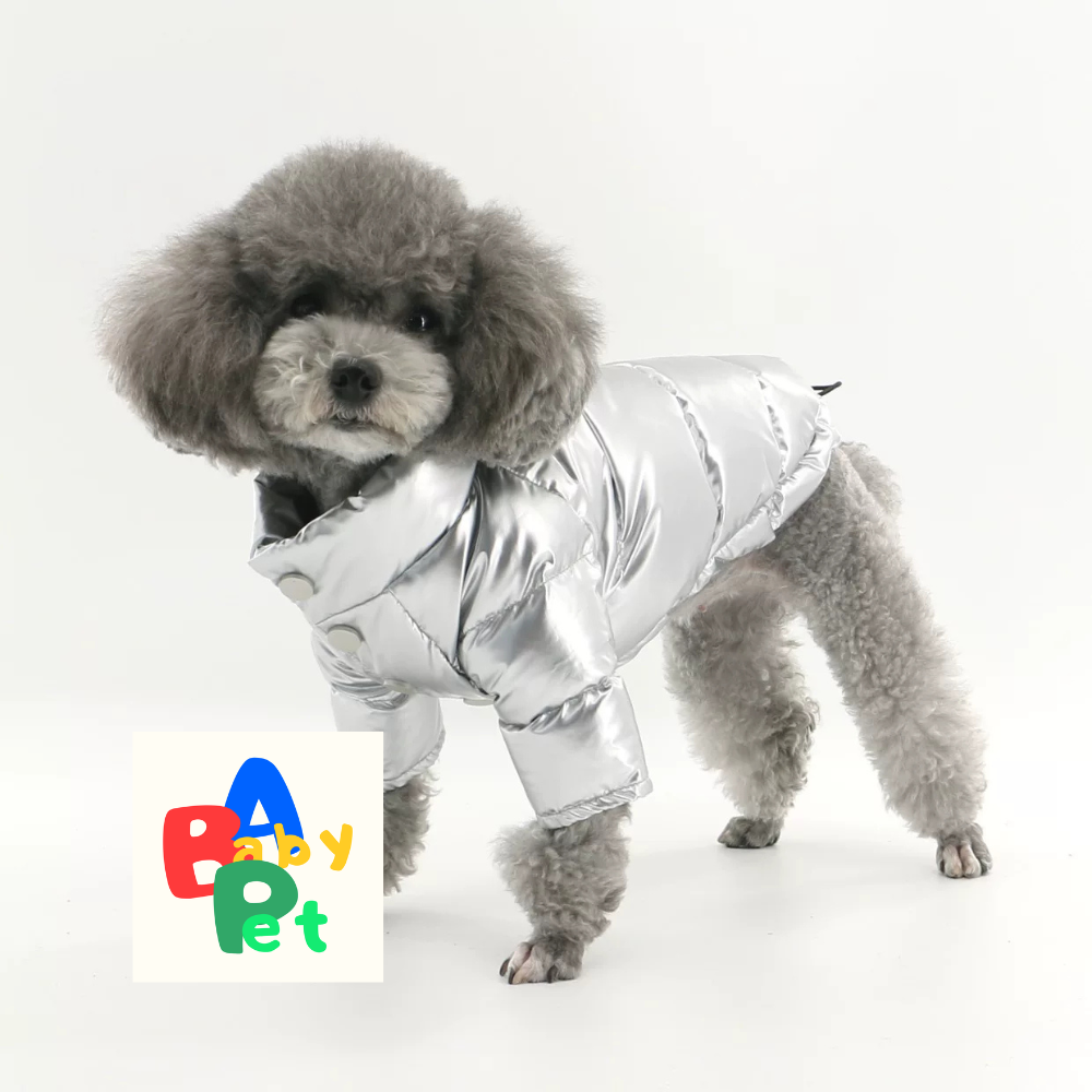 Original Autumn/Winter Thick Warm Space Silver Two-Paw Down Jacket for Dogs