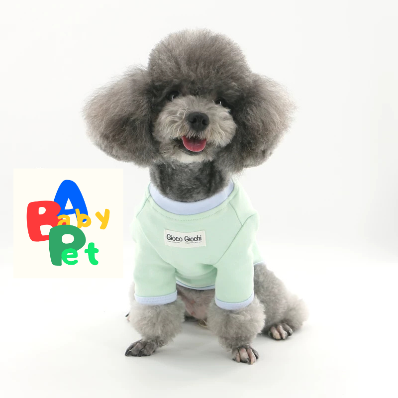 Original Pet-themed Spring/Autumn Color-Blocked Pure Cotton Knit Crew Neck Base Layer Shirt for Teddy Bear and Bichon Frise