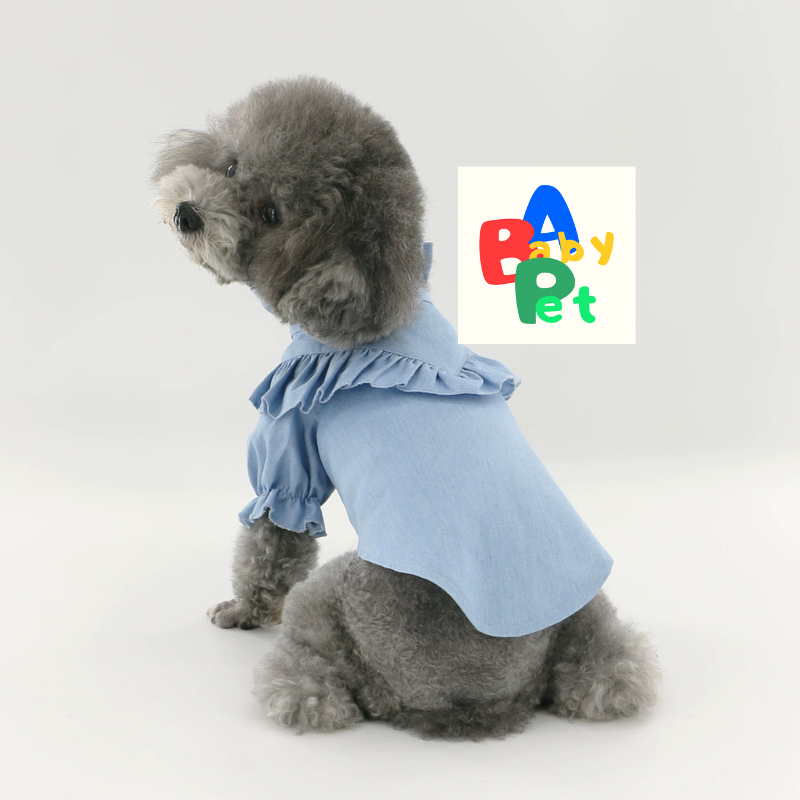 Original Pet-Style Spring/Autumn Thin Cotton Cute Lace Shirt for Teddy Dogs - Birthday Outfit