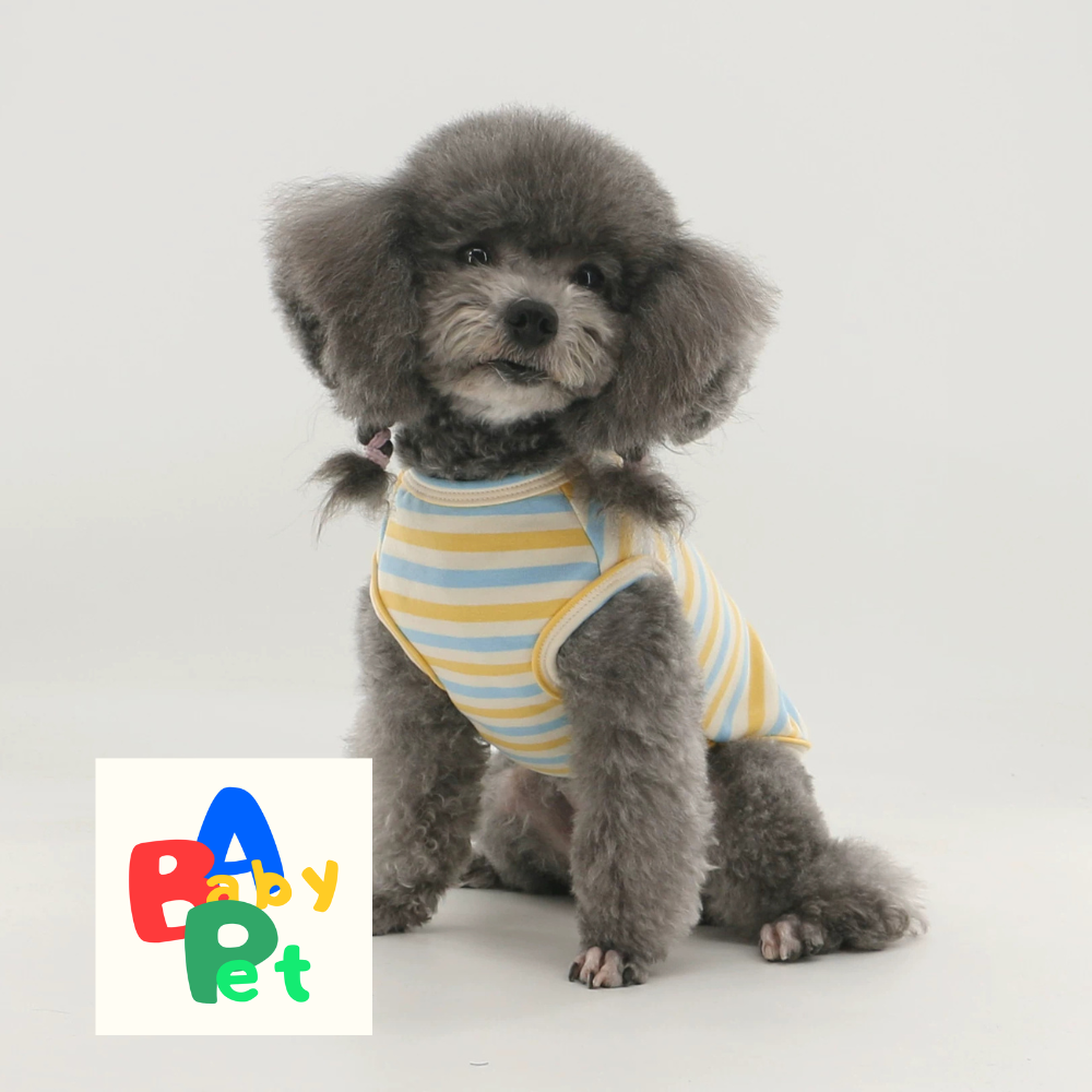 Thick, fleece-lined, colorful striped pure cotton Teddy dog vest for spring and autumn, post-spaying/neutering