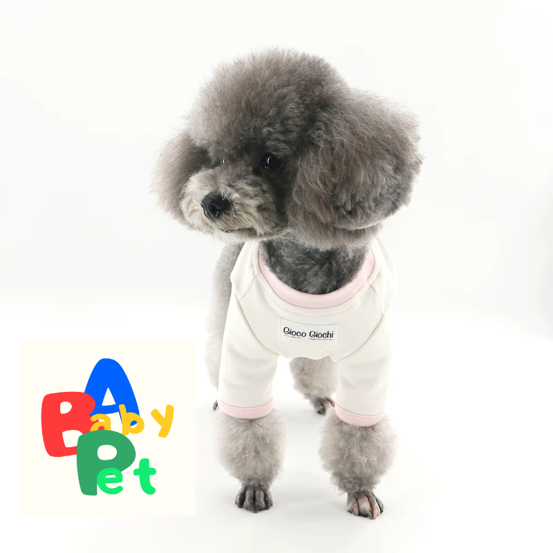 Original Pet-themed Spring/Autumn Color-Blocked Pure Cotton Knit Crew Neck Base Layer Shirt for Teddy Bear and Bichon Frise