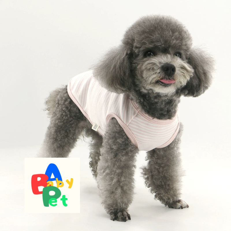Cute striped short-legged teddy bear T-shirt/vest, made of pure cotton, perfect for spring and autumn