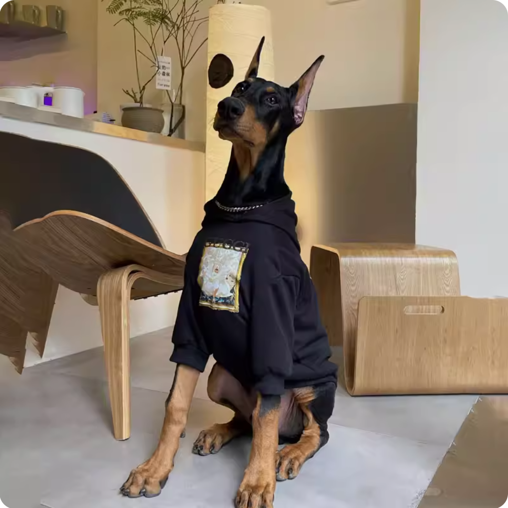 Dog clothes for autumn and winter, large breeds like Golden Retrievers, Labradors, and Dobermans, anti-shedding clothes, trendy dog sweatshirts, warm