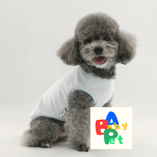 Cute striped short-legged teddy bear T-shirt/vest, made of pure cotton, perfect for spring and autumn