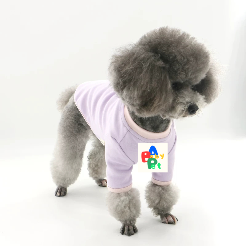 Original Pet-themed Spring/Autumn Color-Blocked Pure Cotton Knit Crew Neck Base Layer Shirt for Teddy Bear and Bichon Frise
