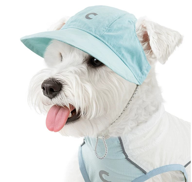 Small dog hat, sun hat, ear-exposing summer outdoor pet hat, Corgi sun hat, cat hat