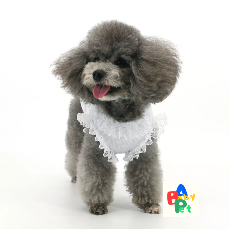 Spring/Summer Ultra-Thin & Super-Elastic Jacquard Lace-Up Vest for Post-Neutered Teddy Dogs