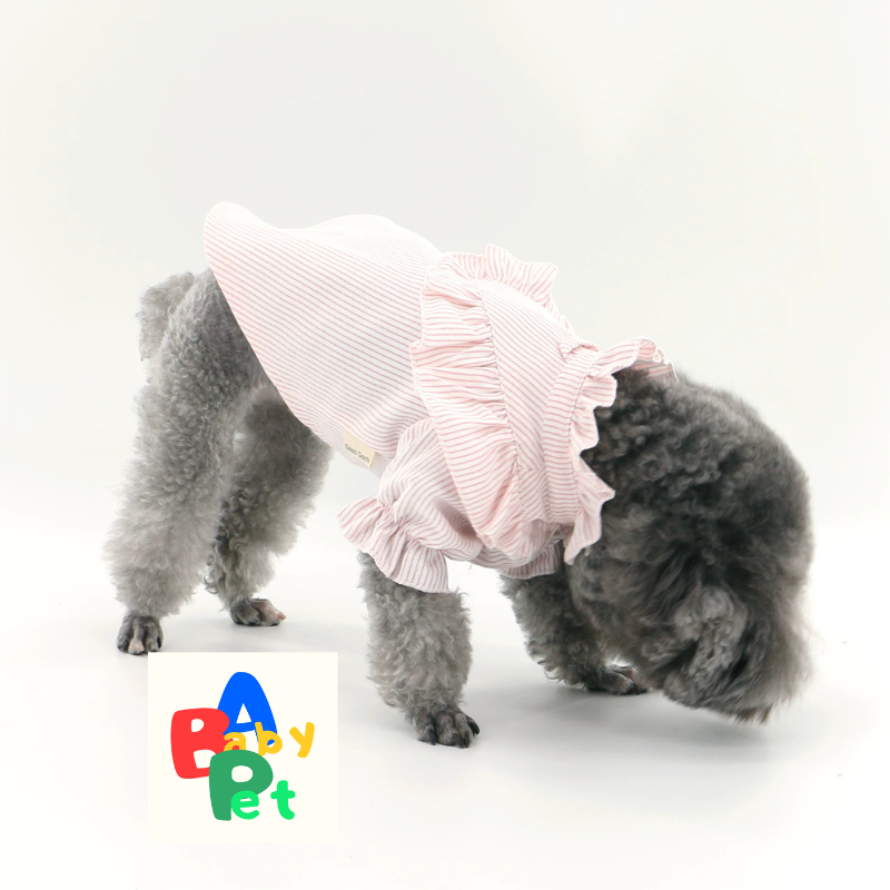 Original Pet-Style Spring/Autumn Thin Cotton Cute Lace Shirt for Teddy Dogs - Birthday Outfit