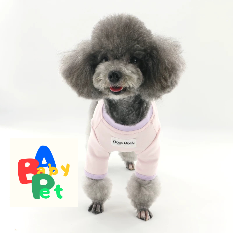 Original Pet-themed Spring/Autumn Color-Blocked Pure Cotton Knit Crew Neck Base Layer Shirt for Teddy Bear and Bichon Frise