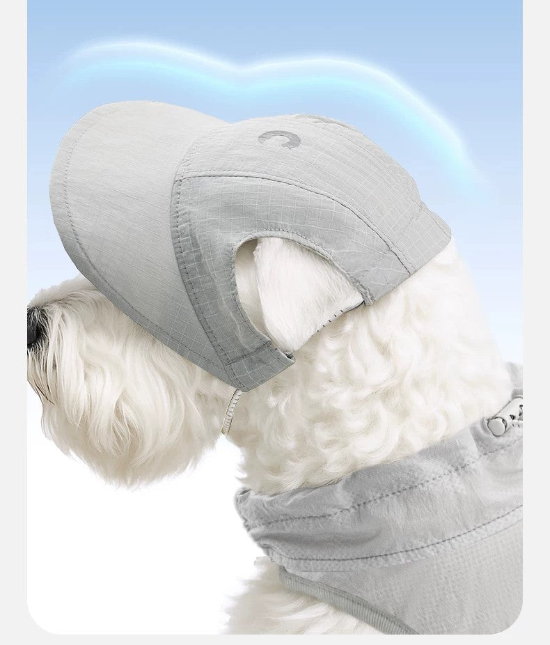 Small dog hat, sun hat, ear-exposing summer outdoor pet hat, Corgi sun hat, cat hat
