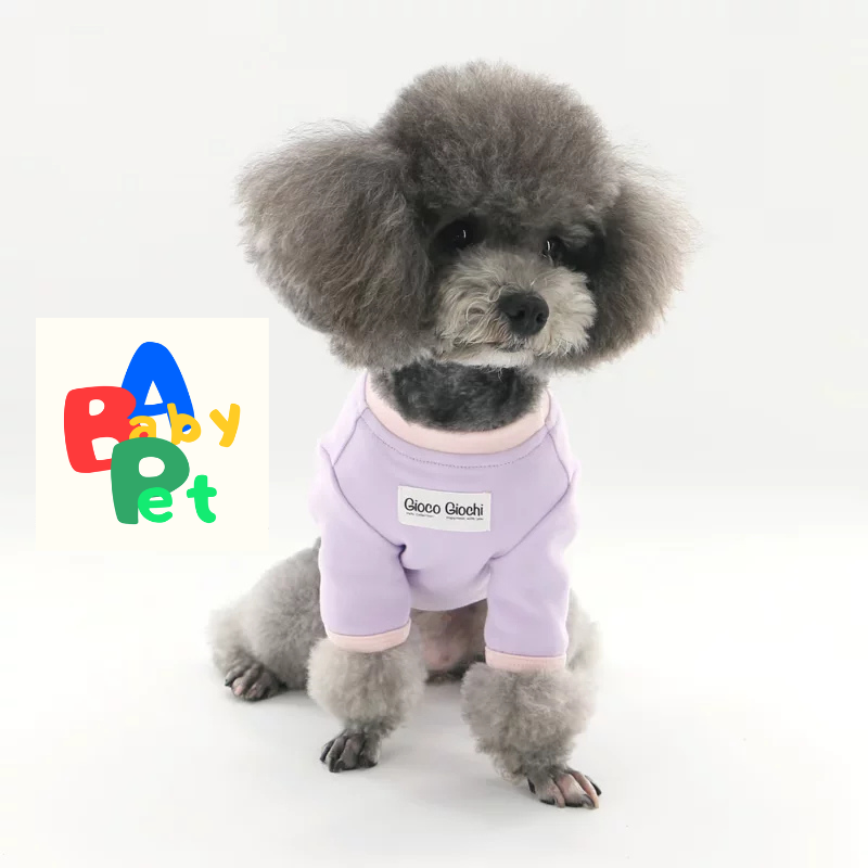 Original Pet-themed Spring/Autumn Color-Blocked Pure Cotton Knit Crew Neck Base Layer Shirt for Teddy Bear and Bichon Frise