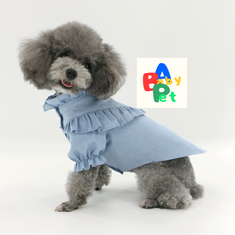 Original Pet-Style Spring/Autumn Thin Cotton Cute Lace Shirt for Teddy Dogs - Birthday Outfit