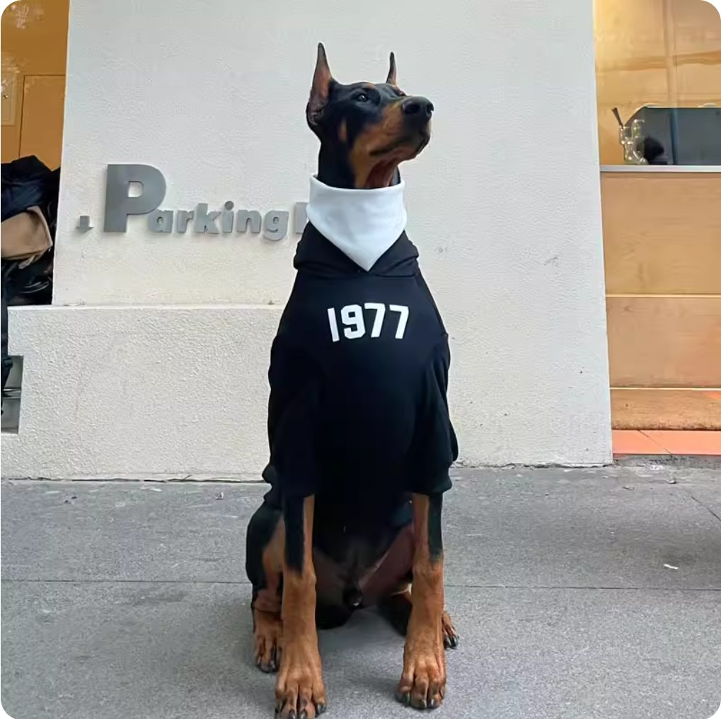 Dog clothes for autumn and winter, large breeds like Golden Retrievers, Labradors, and Dobermans, anti-shedding clothes, trendy dog sweatshirts, warm