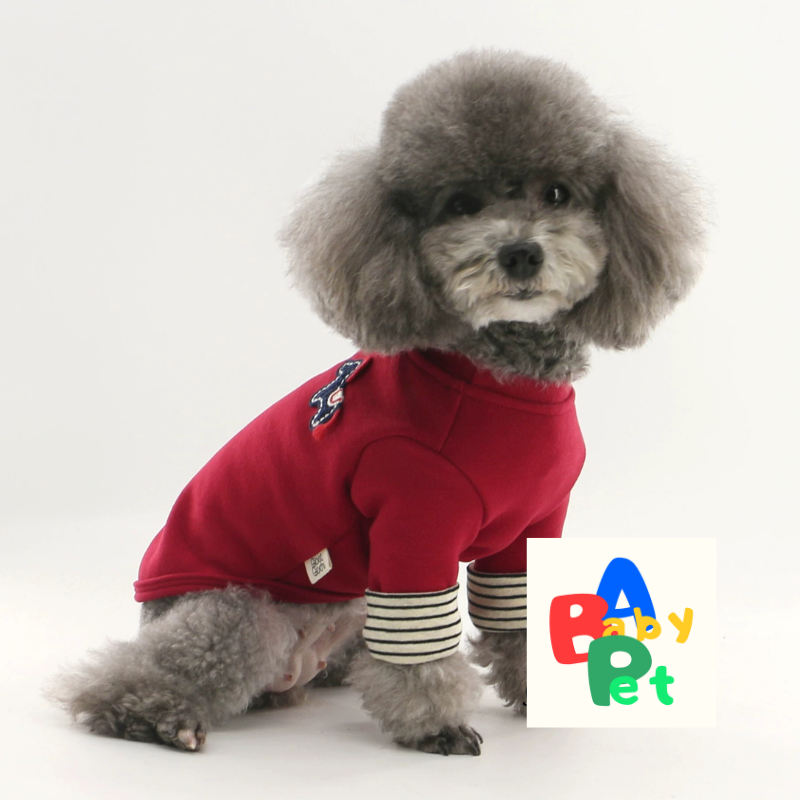 Thick, autumn/winter teddy bear sweater with color-blocked lace trim, perfect for New Year's wear