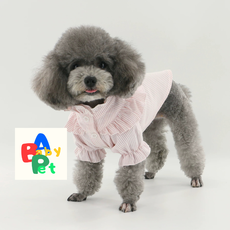 Original Pet-Style Spring/Autumn Thin Cotton Cute Lace Shirt for Teddy Dogs - Birthday Outfit