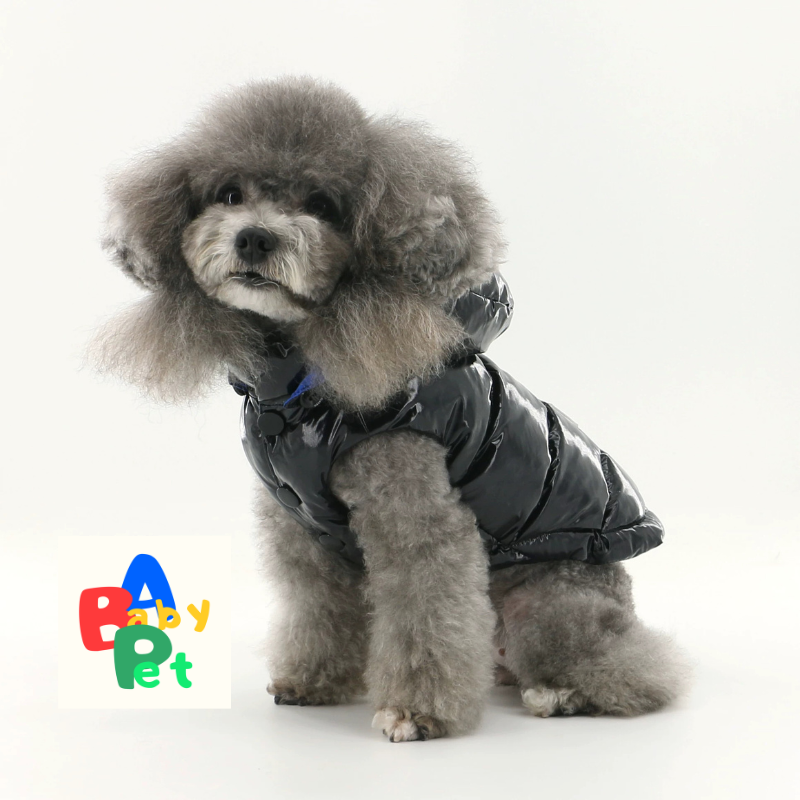 Original Autumn/Winter Black Glossy Waterproof Down Vest for Teddy Dogs with Detachable Hood
